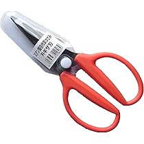 71g+j5Rw8DL._AC_UL210_SR210,